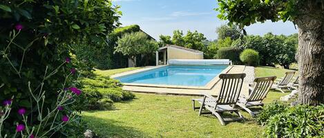 A swimming pool surrounded by a grassy lawn, with a small shed and lounge chairs.