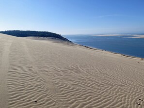 A vast sandy beach with gentle waves and a clear sky.
