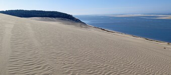 ボルドーからわずか20分のワイナリーで、ボルドーの美しい田園地帯を体験してください。