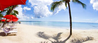 Penthouse with Ocean View and Pool    APT 30