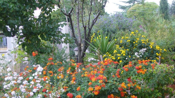 A garden with various flowering plants and trees. - B & B St. ELIA suite ROSA: CHARMING VILLA IMMERSED IN THE HISTORIC PARK DUBINI (caltanissetta)