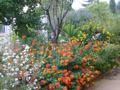 B & B St. ELIA suite ROSA: CHARMING VILLA IMMERSED IN THE HISTORIC PARK DUBINI