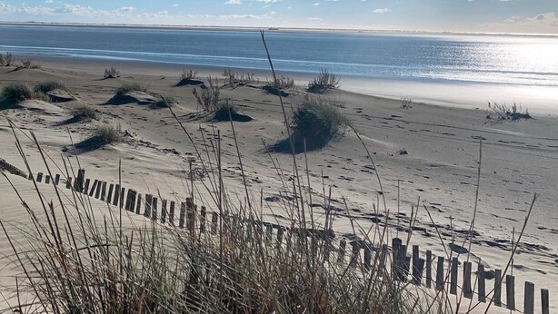 Een strand met een houten omheining op de voorgrond, een heldere lucht en de oceaan op de achtergrond.
