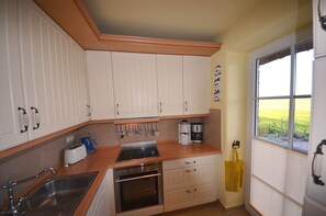 Fridge, microwave, oven, dishwasher - Large Reet - Ocean View Terrace Apartment Am Watt on the Baltic Sea (Gager)