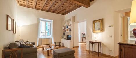 Televisión y libros