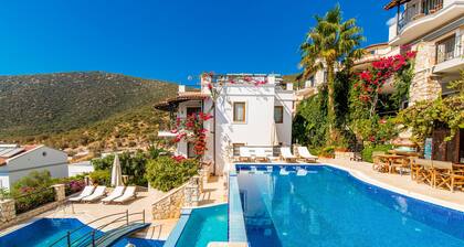 Complexe boutique avec 2 grandes piscines, terrasse tropézienne, vues sur la mer et la montagne