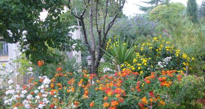 Chambre B&B S. ELIA ORANGE: ENCHANTE VILLA IMMERGEE DANS LE PARC HISTORIQUE DUBINI