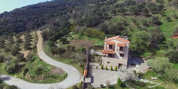 Eine Villa an einem Hügel mit einer kurvenreichen Straße, umgeben von üppigem Grün und Bäumen.