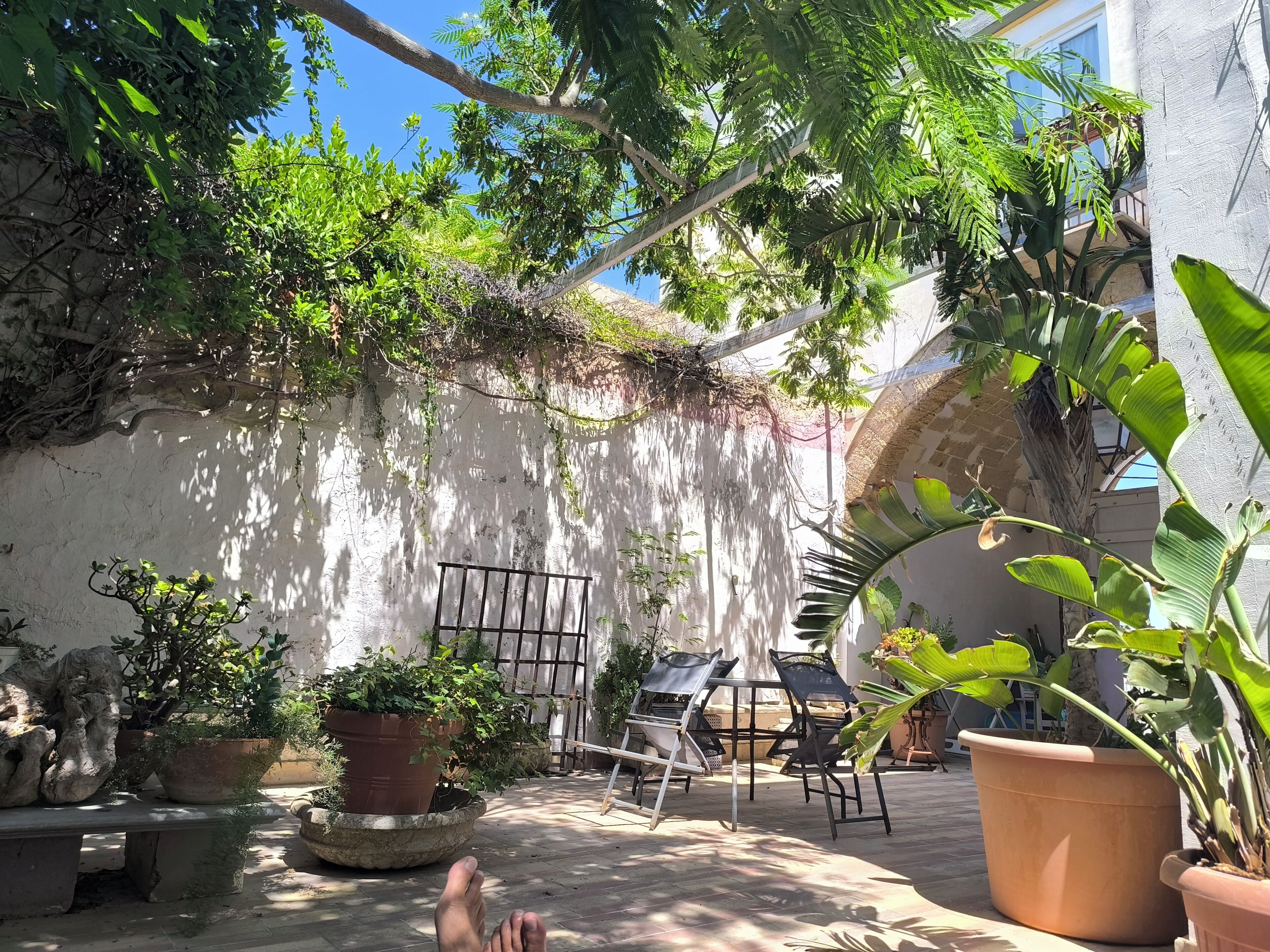 Un patio al aire libre con plantas en macetas, un banco y una mesa.