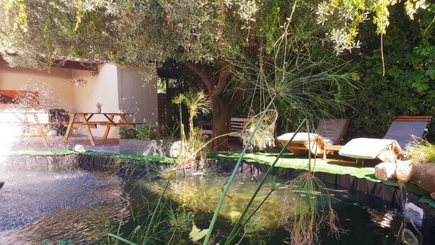 A tranquil garden with a pond, a wooden bench, and a table under a tree. - K.N.C.1601 (La Croix-Valmer)