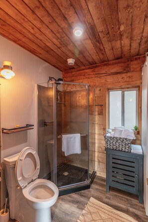 Shower, towels, soap, toilet paper - Technology Free & Dogs are Welcome (Lake City)