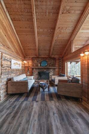 TV, fireplace, books