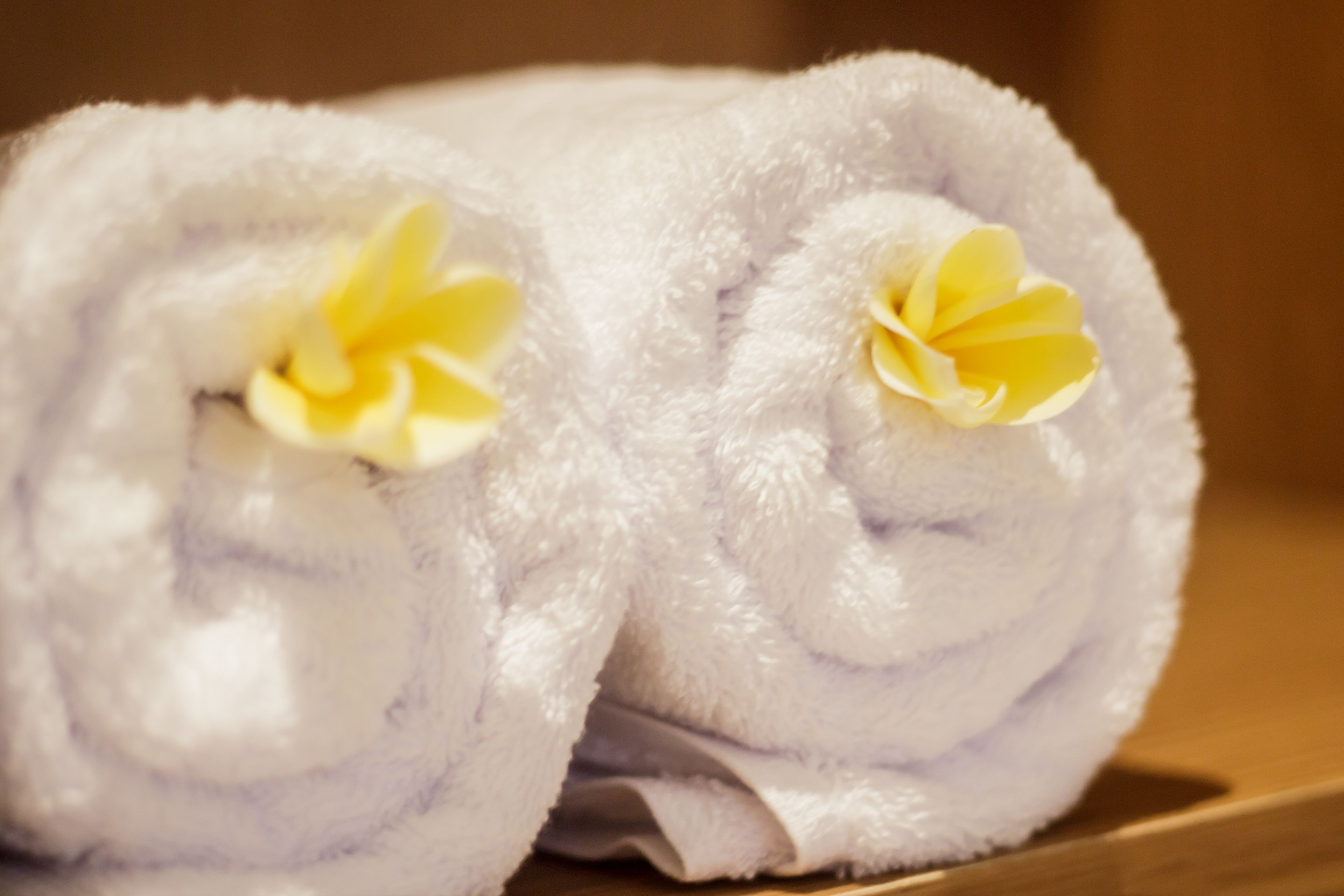 Foto - Angkul Angkul Segara Beach Kuta by Kamara