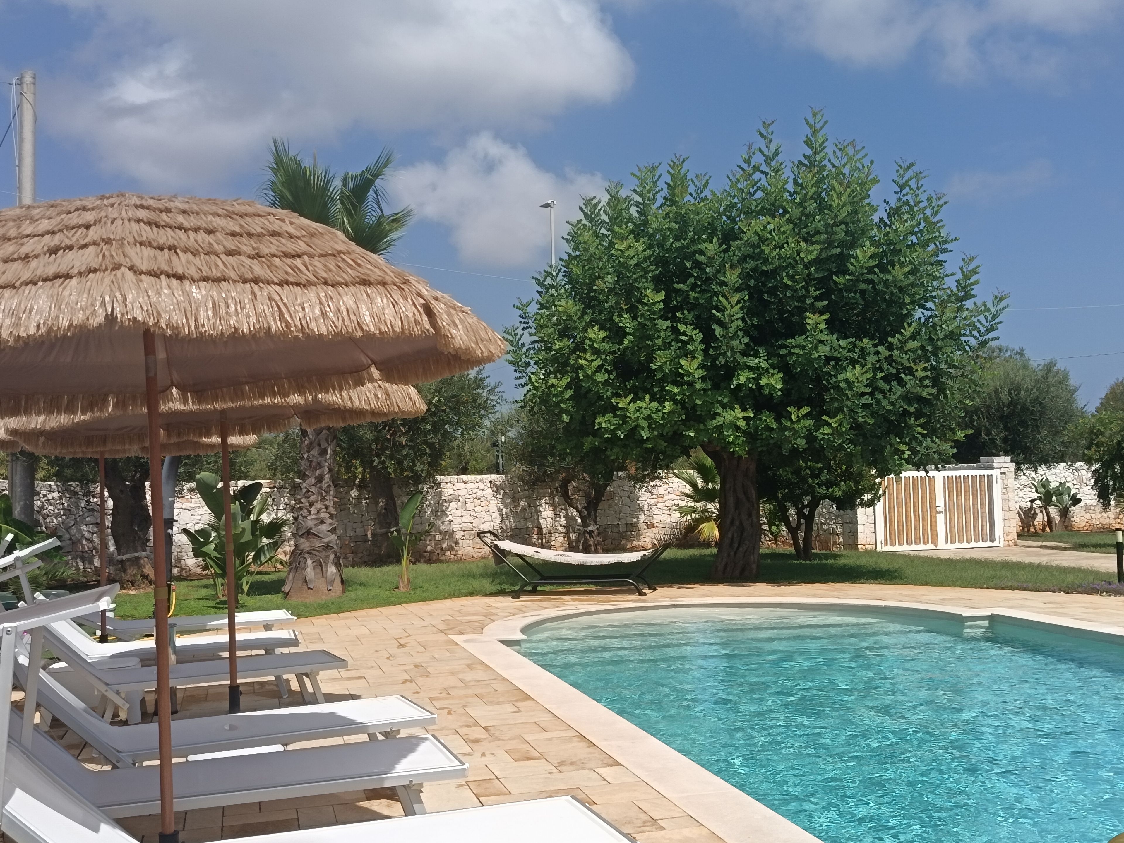 A swimming pool with lounge chairs and a thatched umbrella, surrounded by greenery and a stone wall.