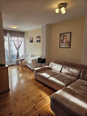 TV, fireplace, books, stereo