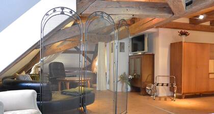 FeWo in Bayreuth - Zentrum (S6) Galerie- Whg 75m2, Wifi frei,