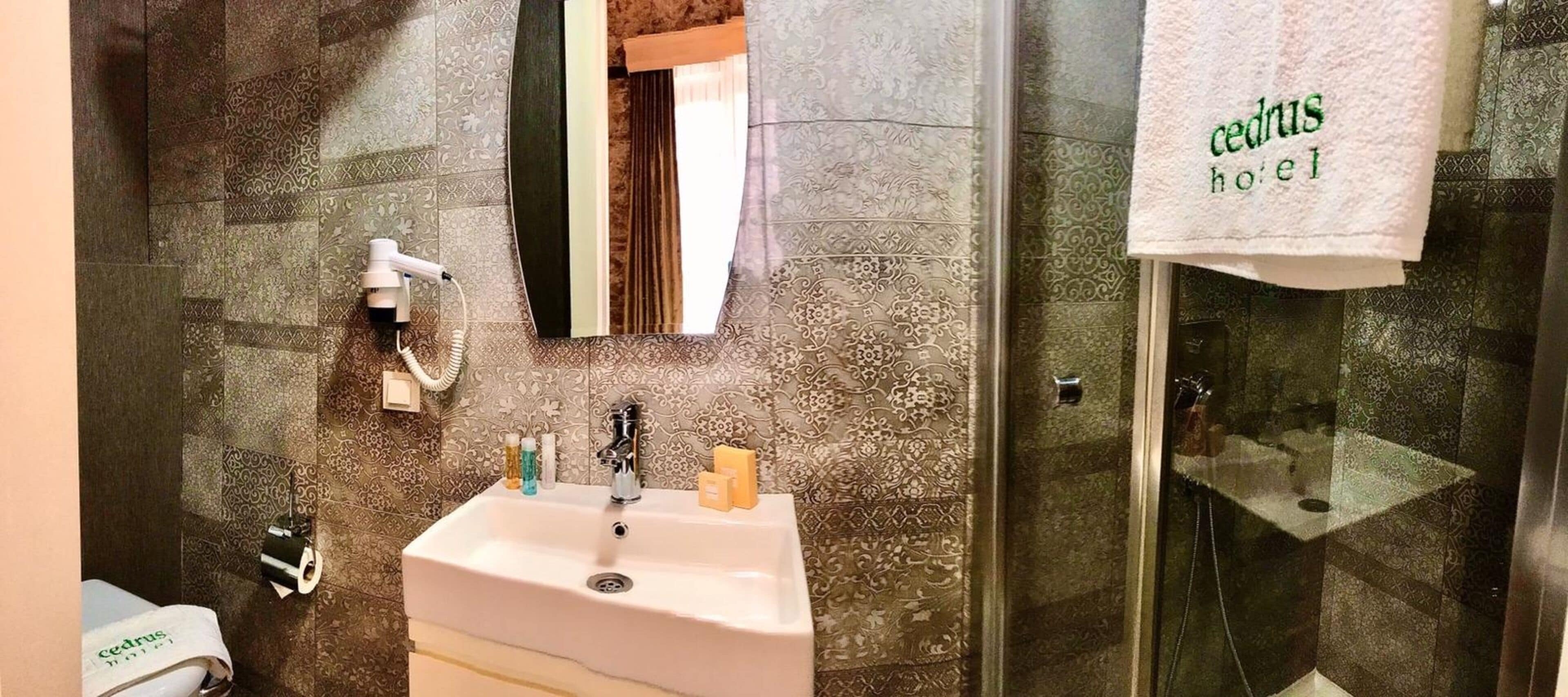 standard single room, ground floor | bathroom | shower, free toiletries, hair dryer, slippers