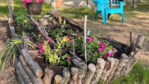 A garden bed with various plants and flowers, a blue chair, and a wooden deck with a railing. - Enjoy Sunset views on tranquil Dexter Pond (Winthrop)
