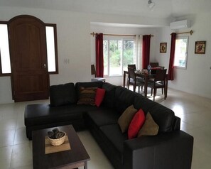 Televisión de pantalla plana, reproductor de DVD y videoteca