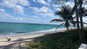 Una playa con palmeras y cielo despejado.