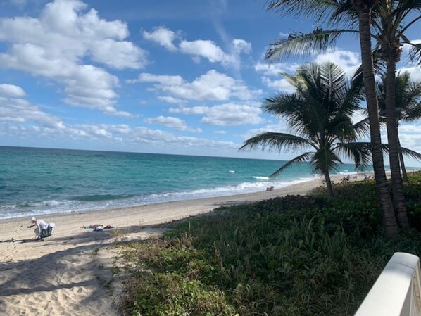 Playa en los alrededores, camastros y toallas de playa 