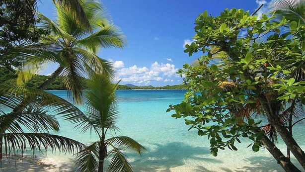 Une plage bordée d’une eau turquoise et limpide, de palmiers et d’une île qui se dessine à l’horizon.