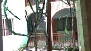Un cortile con un'alta pianta di cactus, una ringhiera in metallo e un edificio con un balcone sullo sfondo.