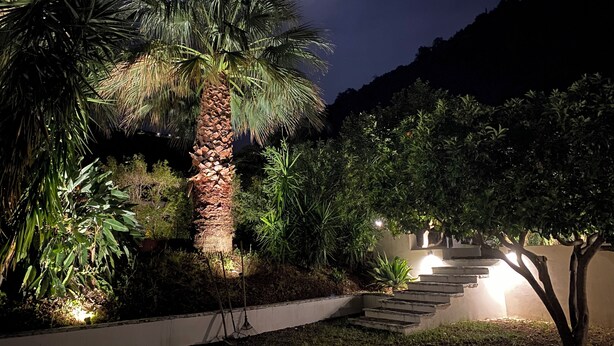 Un jardin nocturne avec un palmier, des marches menant à une maison et une montagne en arrière-plan.