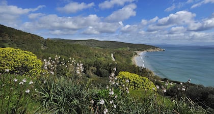 Panorama-Zweizimmerwohnung am Meer - Südsardinien