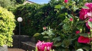 A garden with pink flowers and green foliage. - Apartment with Garden View (Trecastagni)