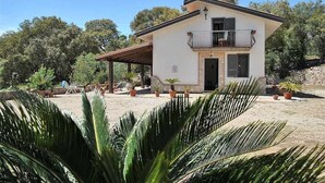 A two-story house with a balcony, surrounded by potted plants and trees. - VILLA CYCAS relaxation between sea and nature (Itri)