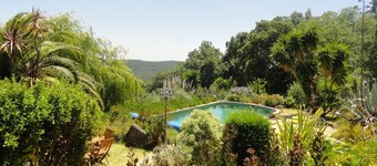 In Portugal, Algarve, large villa in Monchique, swimming pool, sauna, Jacuzzi