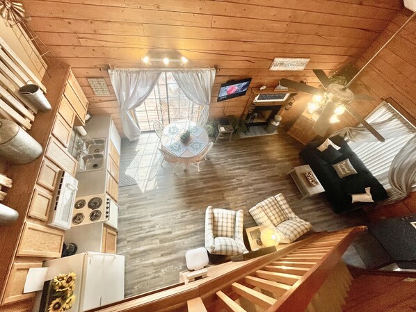 Smart TV, fireplace, DVD player, books