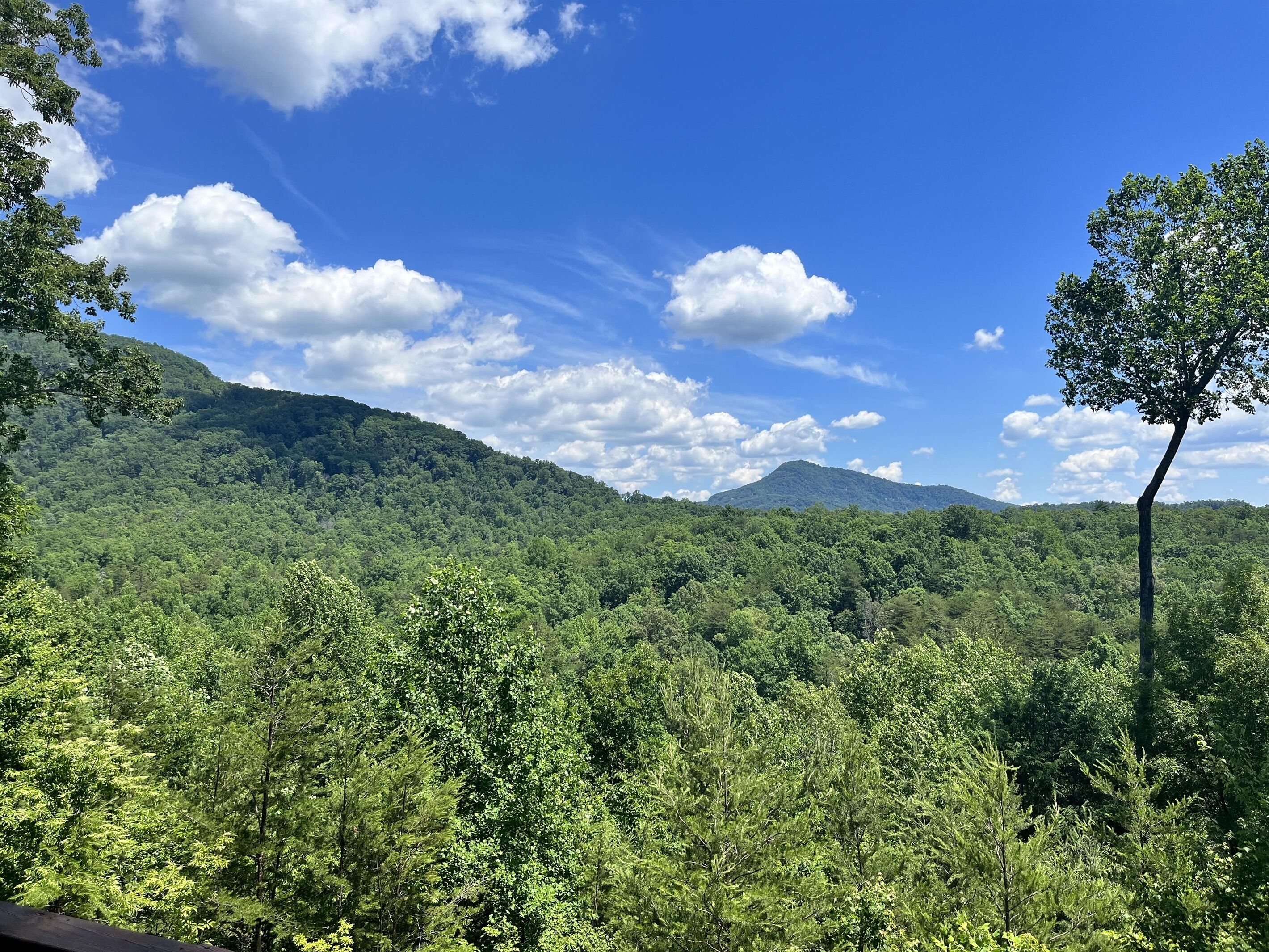 Utsikt från boendet