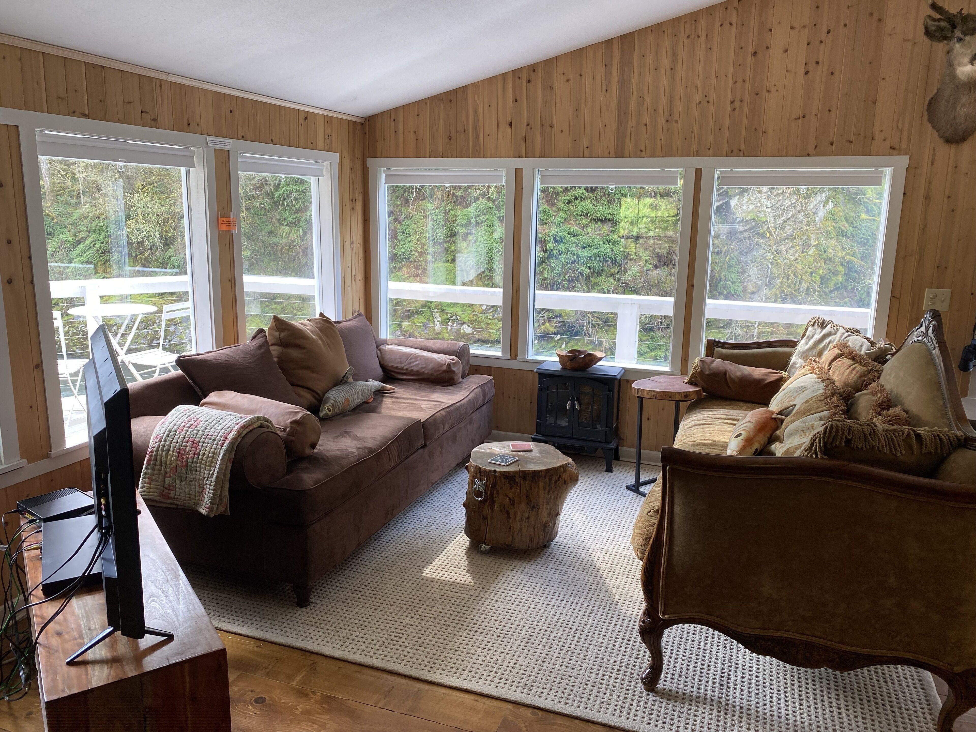 TV, fireplace, DVD player, video library