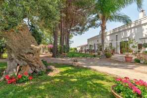 Área da propriedade