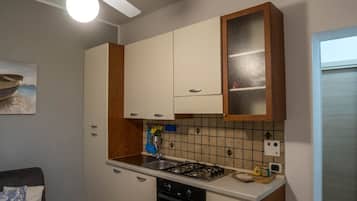 Fridge, oven, stovetop, cookware/dishes/utensils