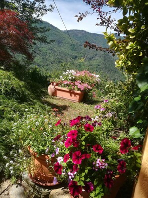 Ein Garten mit Blumentöpfen und Blumen, umgeben von üppigem Grün und einer Berglandschaft im Hintergrund.