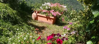 In the Final Hills, ideal for bikers and climbers. Paradise 20 min from the sea.