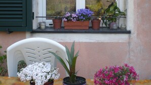 Une table recouverte d’une nappe, agrémentée de plantes en pot, et une fenêtre avec des volets.