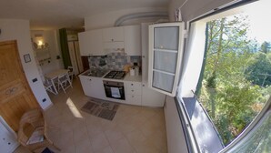 Une cuisine compacte équipée d’une cuisinière à gaz, d’un évier et d’une fenêtre donnant sur un espace verdoyant.