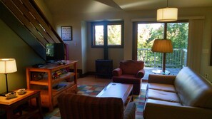 Smart-TV, Kamin, DVD-Player, Bücher