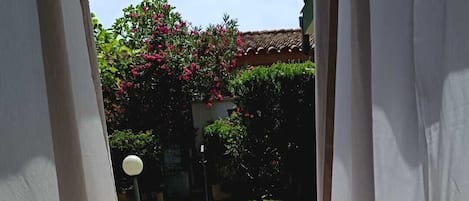 A view through a doorway into a courtyard with a stone pathway, green grass, and a tree with pink flowers.