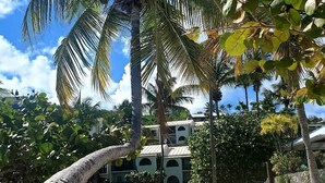 Une plage avec un palmier, du sable et, au fond, un bâtiment dont la façade est de couleur claire.