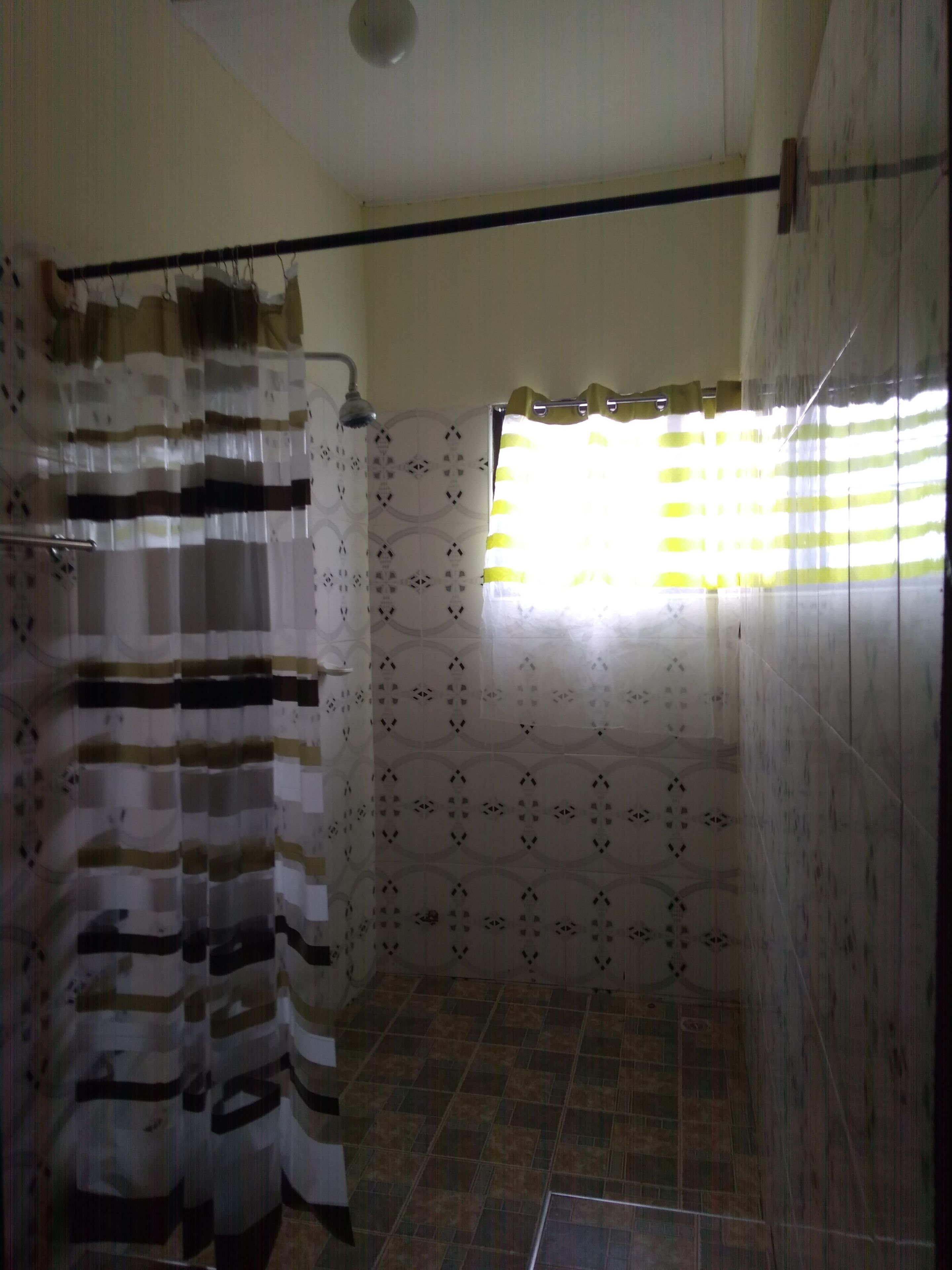 Shower, towels, soap, toilet paper