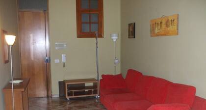 one bedroom apartment in central location