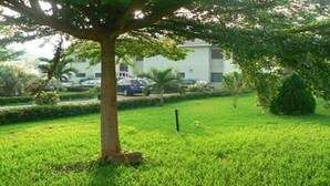 Un'area erbosa con un albero e un edificio sullo sfondo.