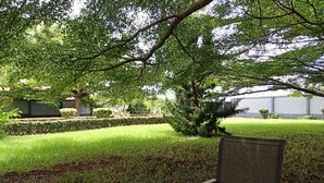 Un tavolo in vetro con una sedia, una bottiglia e un bicchiere in un'area giardino con erba e alberi.