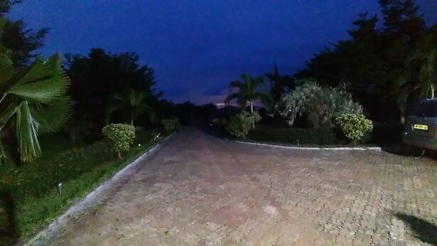 Una strada asfaltata costeggiata da vegetazione e alberi, che conduce in una zona residenziale.