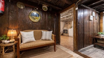 TV, fireplace, books